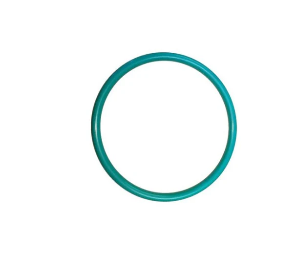 Fluorine O-ring for CM-HIP-1520